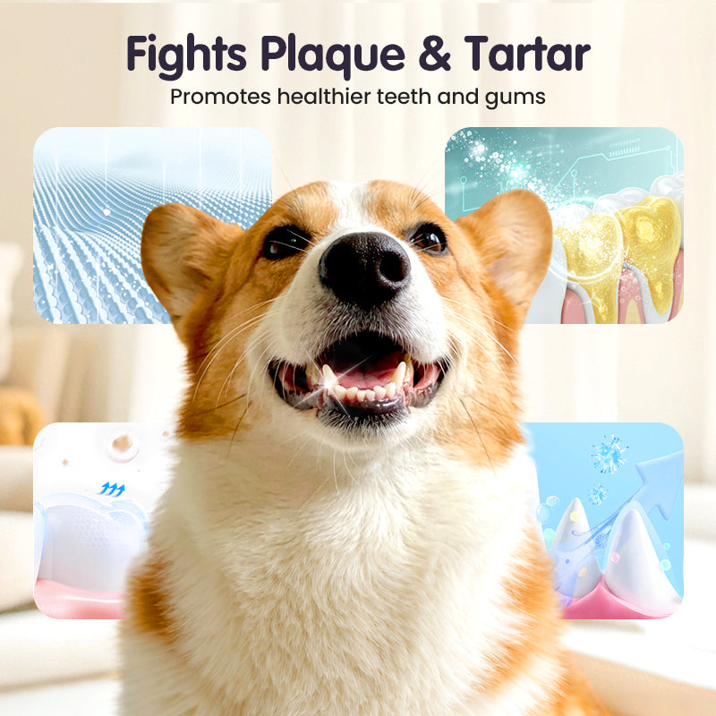 BioBrite™ Pet Dental Spray — Spark Irresistible Freshness and Endless Cuddles Every Day