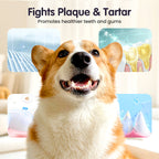 BioBrite™ Pet Dental Spray — Spark Irresistible Freshness and Endless Cuddles Every Day