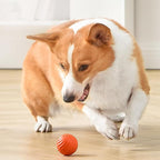 ThrillPup™ — Ignite Boundless Joy and Energy with Every Chase