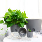 Flower Pot | Self-Watering | Clean Hydration | AquaWick