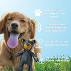 TitanChew™ — Unbreakable Fun That Keeps Your Dog Happy and Healthy