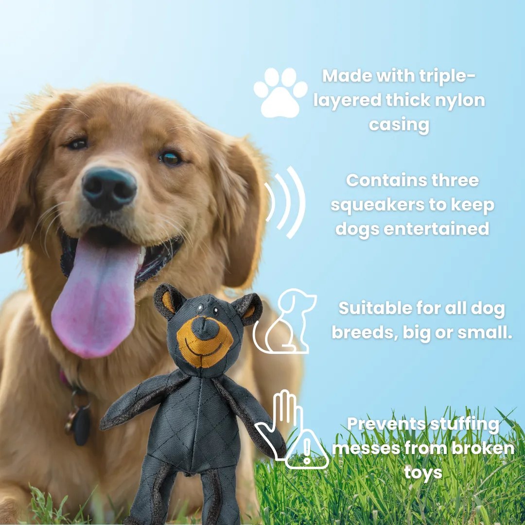 TitanChew™ — Unbreakable Fun That Keeps Your Dog Happy and Healthy