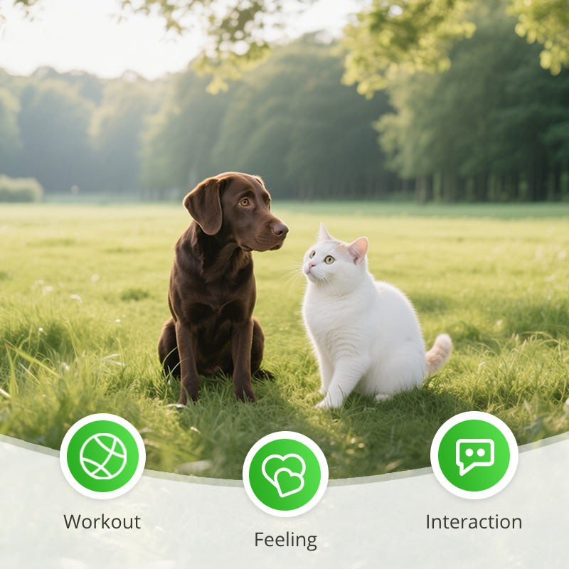 FurVanta™ — Effortless Pet Hair Removal That Transforms Your Home Instantly