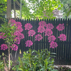 Blooming Flowers Stencil Set | Versatile | Reusable | Petalcraft