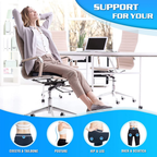 SitraEase™ — Sink Into Pain-Free Support and Sit Strong All Day