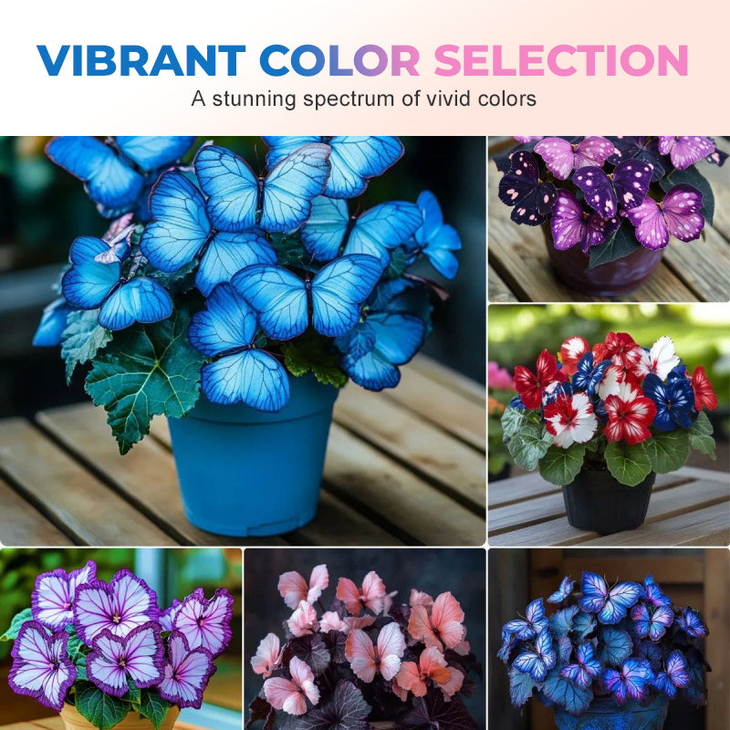 EnchantWing™ Butterfly Bloom Seeds — Transform Your Garden into a Vibrant Butterfly Paradise That Dazzles Every Eye