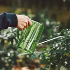 Watering Can with Extended Spout | Measurement Indicators | Accurate Root Hydration | SproutFlow