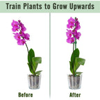 ThriveGrip™ — Unshakable Support That Turns Your Garden Into a Showstopper