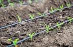Cooling Irrigation System | Save 70% Water | Garden, Lawn & Terrace | RootMist