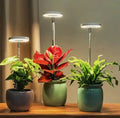 Plant Lamp | Growth Light Full Spectrum | Timer with Dimming Control | PlantGlow