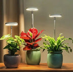 Plant Lamp | Growth Light Full Spectrum | Timer with Dimming Control | PlantGlow