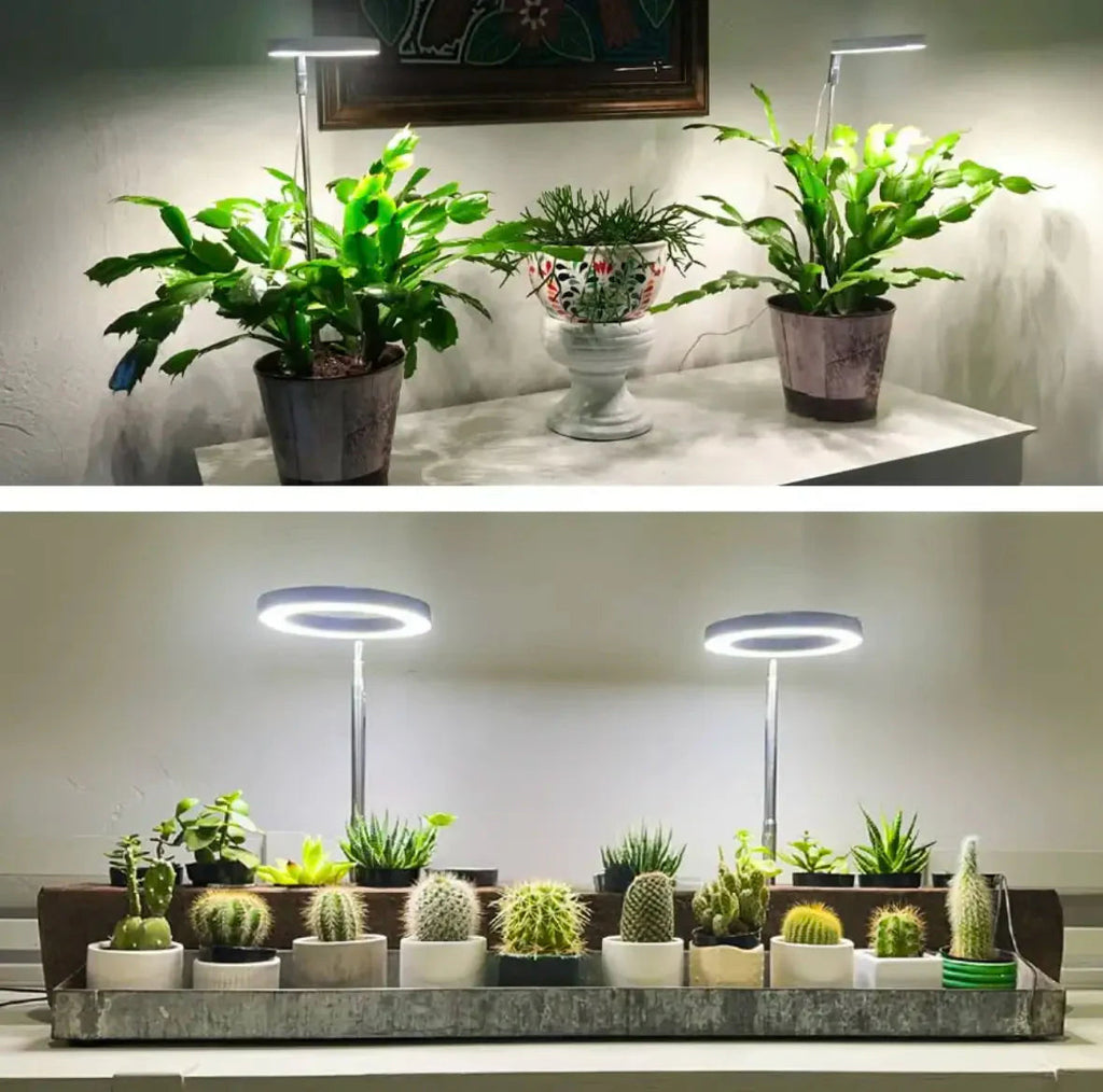 Plant Lamp | Growth Light Full Spectrum | Timer with Dimming Control | PlantGlow