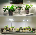 Plant Lamp | Growth Light Full Spectrum | Timer with Dimming Control | PlantGlow