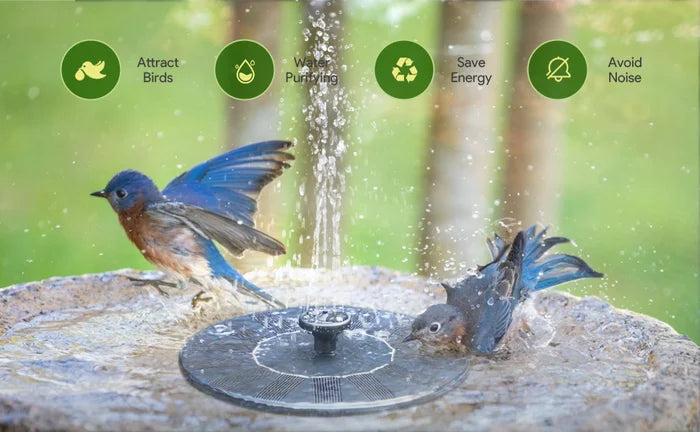 SerenoSplash™ — Create Your Own Sun-Powered Sanctuary of Peace and Beauty