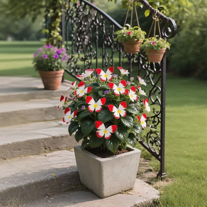 EnchantWing™ Butterfly Bloom Seeds — Transform Your Garden into a Vibrant Butterfly Paradise That Dazzles Every Eye