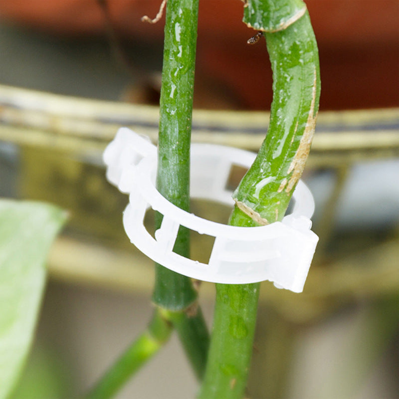 Plant Support Clips Plastic | Inner Diameter 1 Inch | Reusable | Stemhold