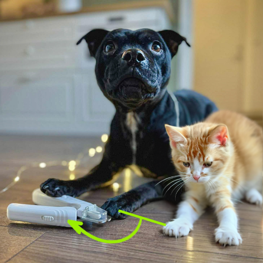 PawLuma™ — Master Nail Trims with Calm Confidence and Zero Stress