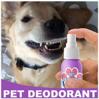 BreezeMist™ Breath Elixir — Unlock Endless Snuggles with Fresh, Healthy Pet Breath