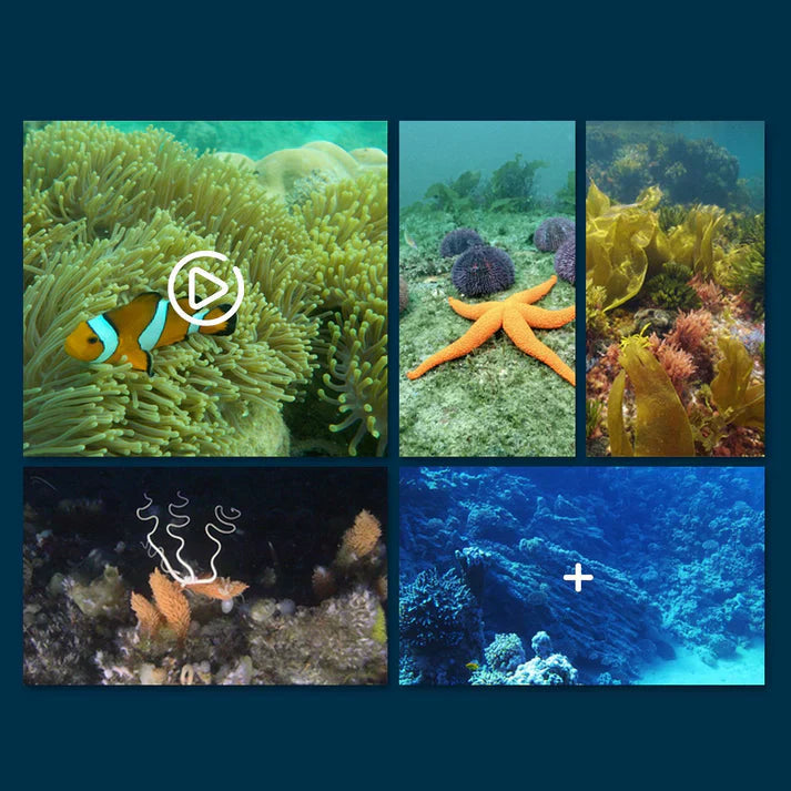 AquaVista™ — Unlock Breathtaking Underwater Worlds Without Getting Wet