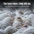 Dermaclear™ — Banish Hidden Allergens for Breathable, Blissful Sleep Every Night