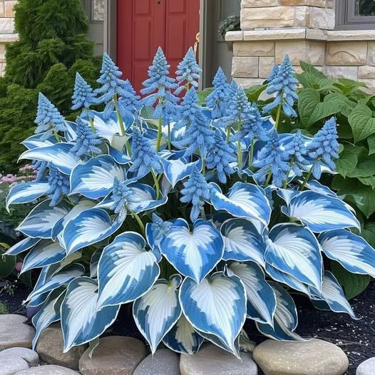 ShadeMuse™ — Transform Hidden Shade into a Vibrant, Effortless Garden Sanctuary