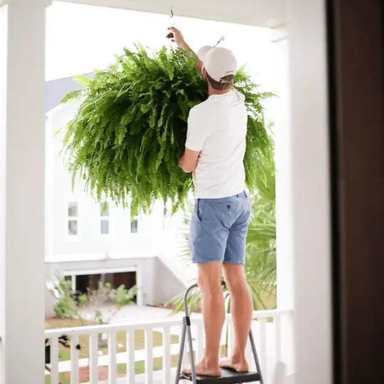 EmeraldMoss™ — Stunningly Real Greenery That Thrives Without Effort or Watering