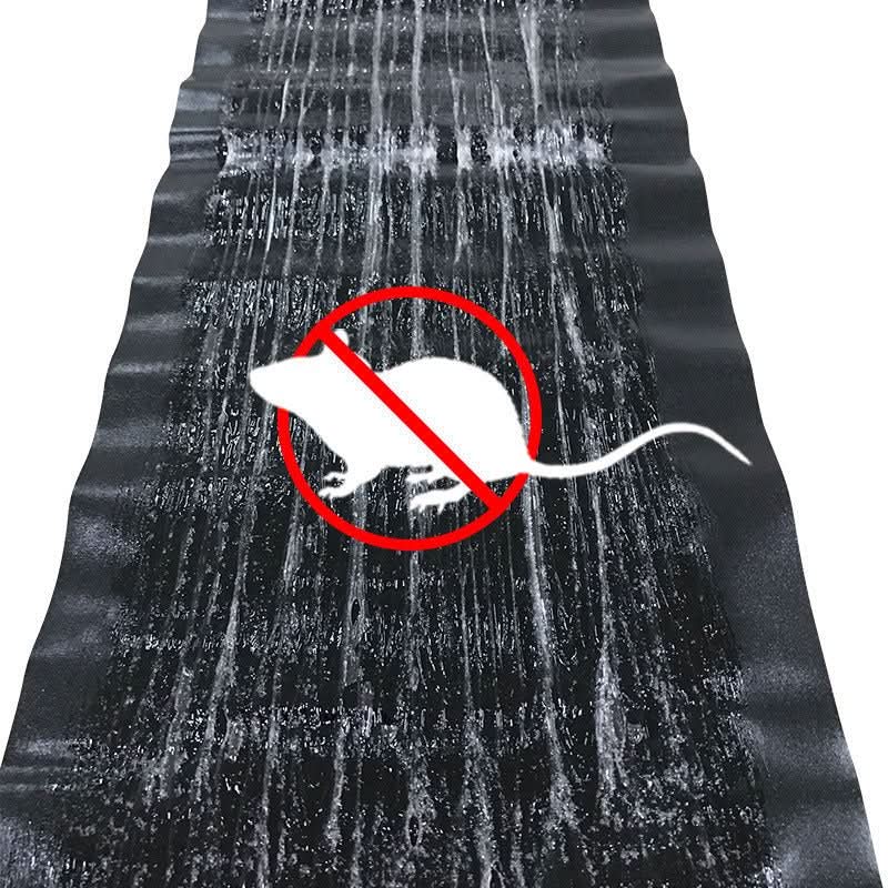 Adhesive Pest Trap | Extra-Strong Adhesive & Large Surface | Non-Toxic | 10-Pack