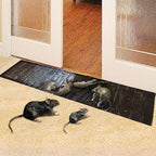 Adhesive Pest Trap | Extra-Strong Adhesive & Large Surface | Non-Toxic | 10-Pack