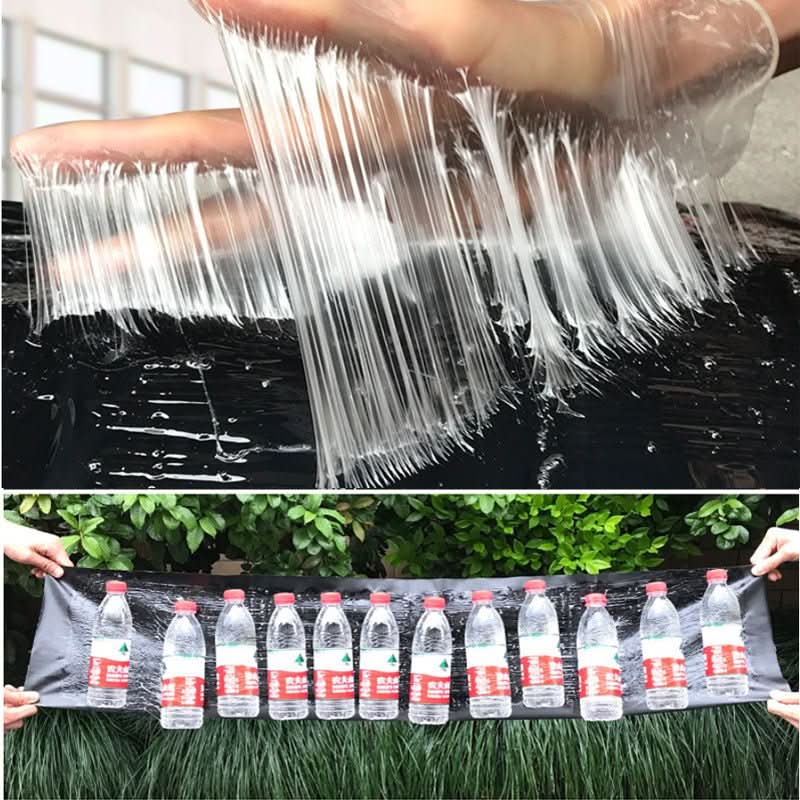 Adhesive Pest Trap | Extra-Strong Adhesive & Large Surface | Non-Toxic | 10-Pack