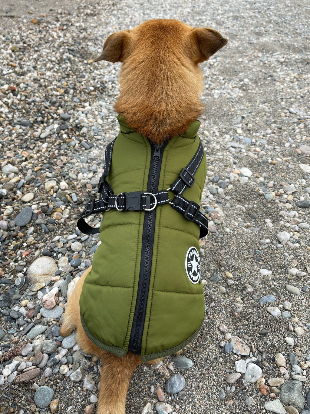 Dog Jacket | Wind & Water-Resistant | Integrated Harness & Reflective Trim