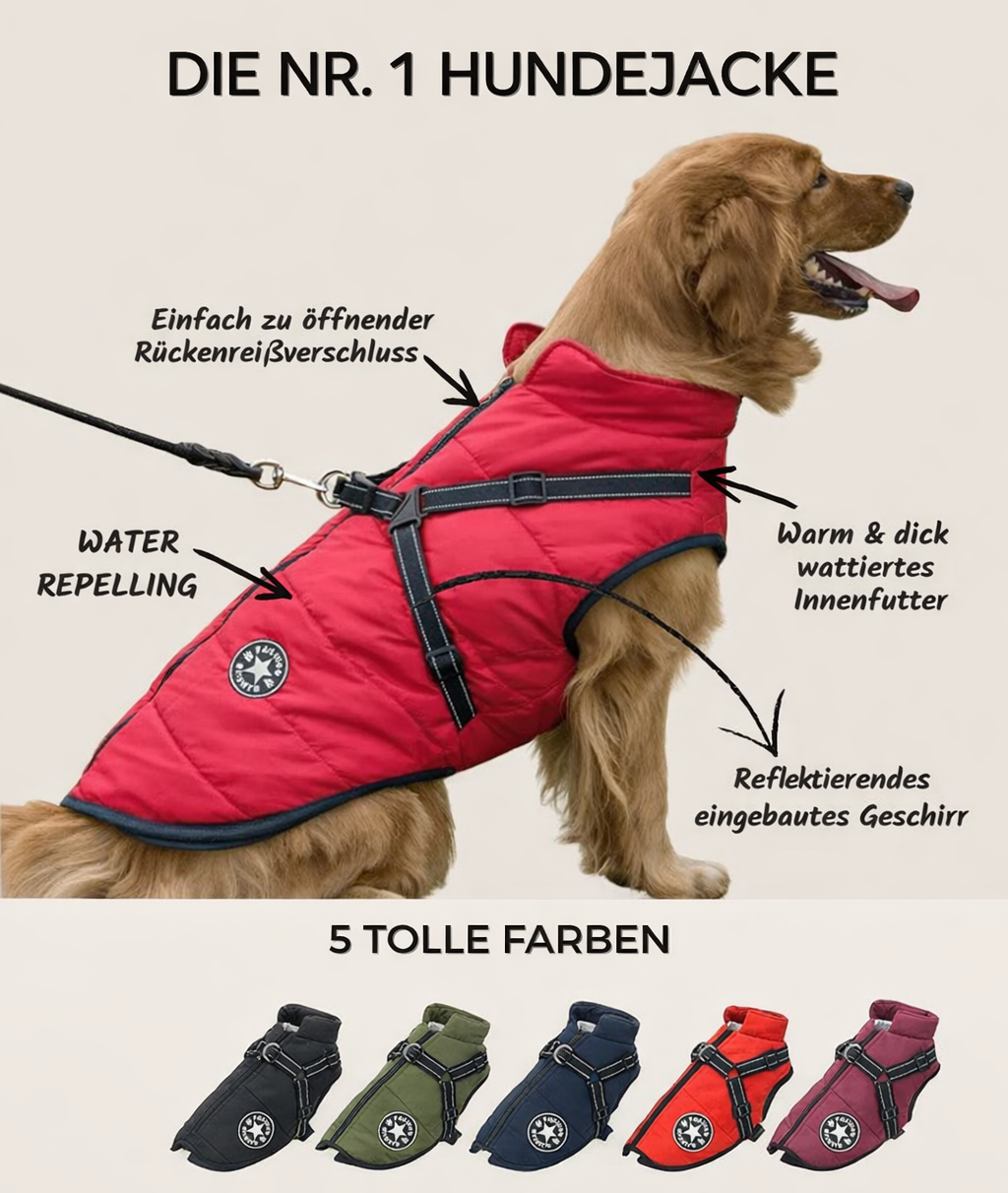 Dog Jacket | Wind & Water-Resistant | Integrated Harness & Reflective Trim