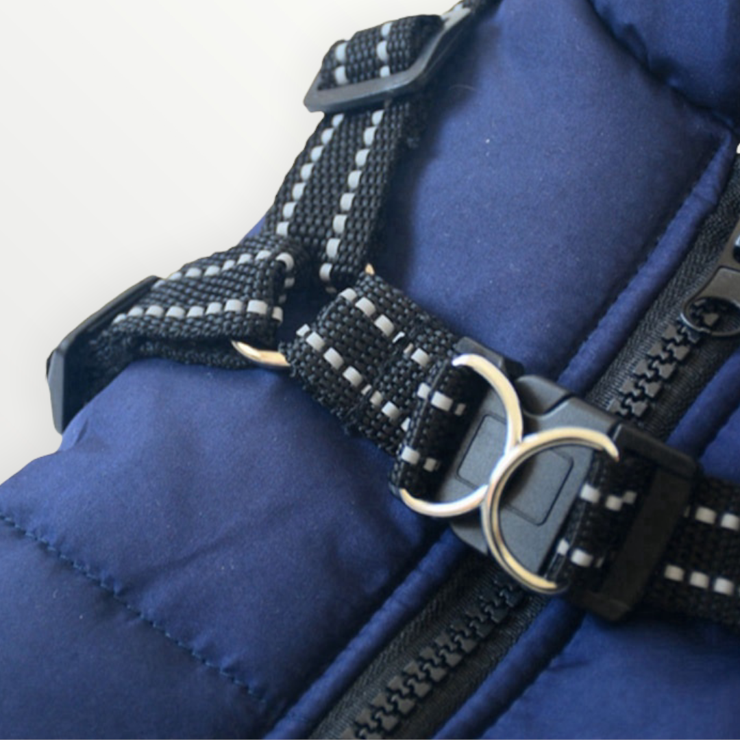 Dog Jacket | Wind & Water-Resistant | Integrated Harness & Reflective Trim