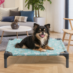 DogBedHouse Detachable Moisture-Proof & Washable Dog Hammock Bed (Non-Slip Base)