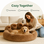 DogBedHouse Fluffy Bear-Paw & Shape-Retentive Dog Bed