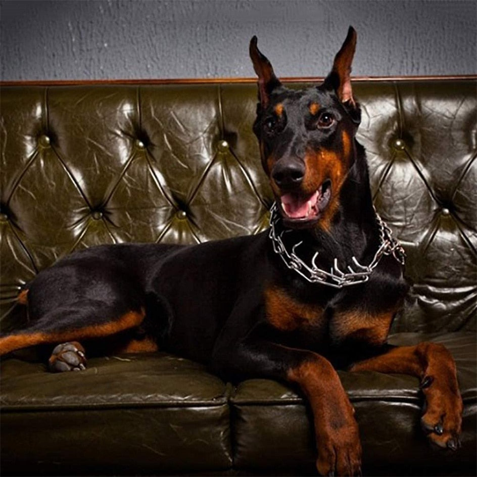 Adjustable Dog Training Collar | Rubber-Tipped Metal Links | Padded Chain | No-Pull Correction