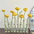 Adjustable Flower Vase | Hinged Interconnected Glass Tubes | Clear Borosilicate Glass