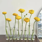 Adjustable Flower Vase | Hinged Interconnected Glass Tubes | Clear Borosilicate Glass
