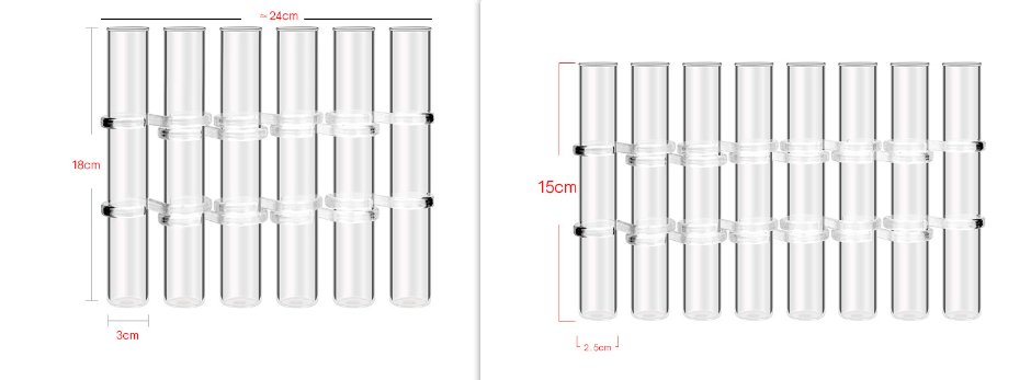 Adjustable Flower Vase | Hinged Interconnected Glass Tubes | Clear Borosilicate Glass