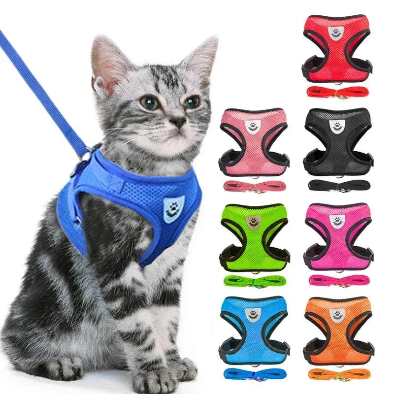 Cat & Small Dog Harness & Leash | Adjustable Breathable Mesh Vest | Up to 16.5 lb