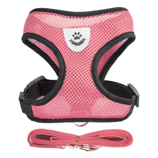 Cat & Small Dog Harness & Leash | Adjustable Breathable Mesh Vest | Up to 16.5 lb