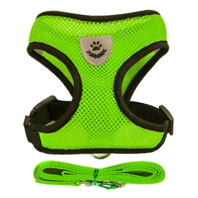 Cat & Small Dog Harness & Leash | Adjustable Breathable Mesh Vest | Up to 16.5 lb