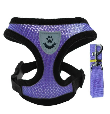 Cat & Small Dog Harness & Leash | Adjustable Breathable Mesh Vest | Up to 16.5 lb