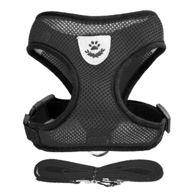 Cat & Small Dog Harness & Leash | Adjustable Breathable Mesh Vest | Up to 16.5 lb