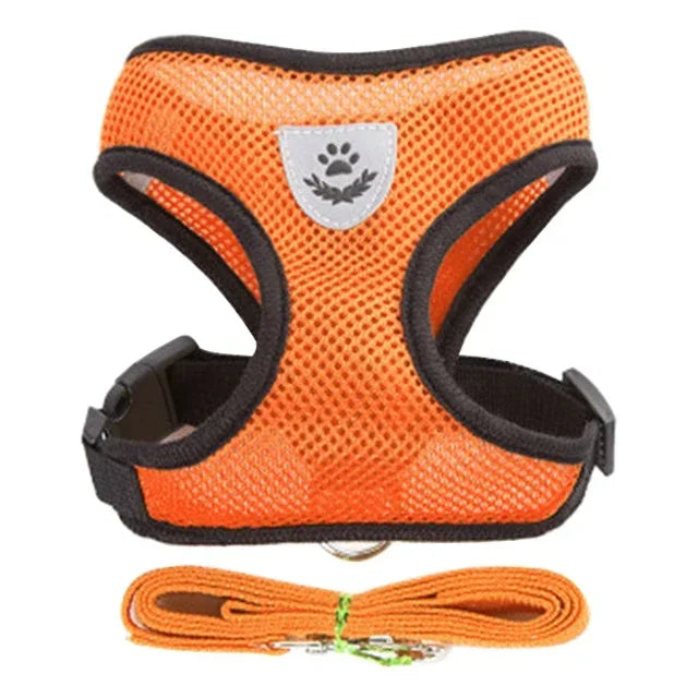 Cat & Small Dog Harness & Leash | Adjustable Breathable Mesh Vest | Up to 16.5 lb