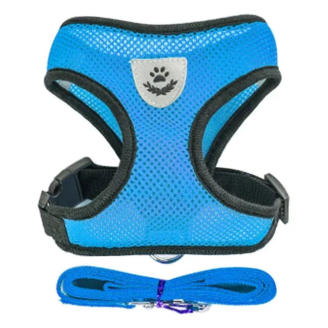 Cat & Small Dog Harness & Leash | Adjustable Breathable Mesh Vest | Up to 16.5 lb