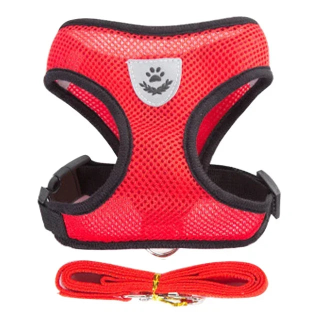 Cat & Small Dog Harness & Leash | Adjustable Breathable Mesh Vest | Up to 16.5 lb