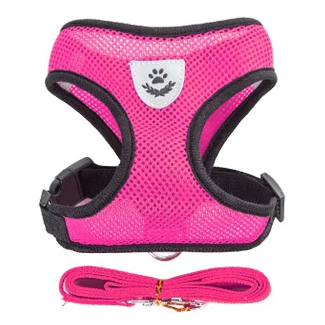 Cat & Small Dog Harness & Leash | Adjustable Breathable Mesh Vest | Up to 16.5 lb