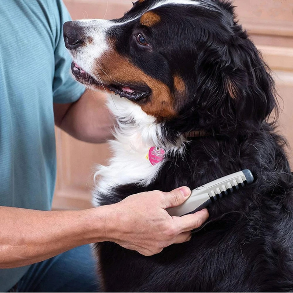 Dog & Cat Grooming Tool | Dematting & Detangling Trimmer | For All Coat Types
