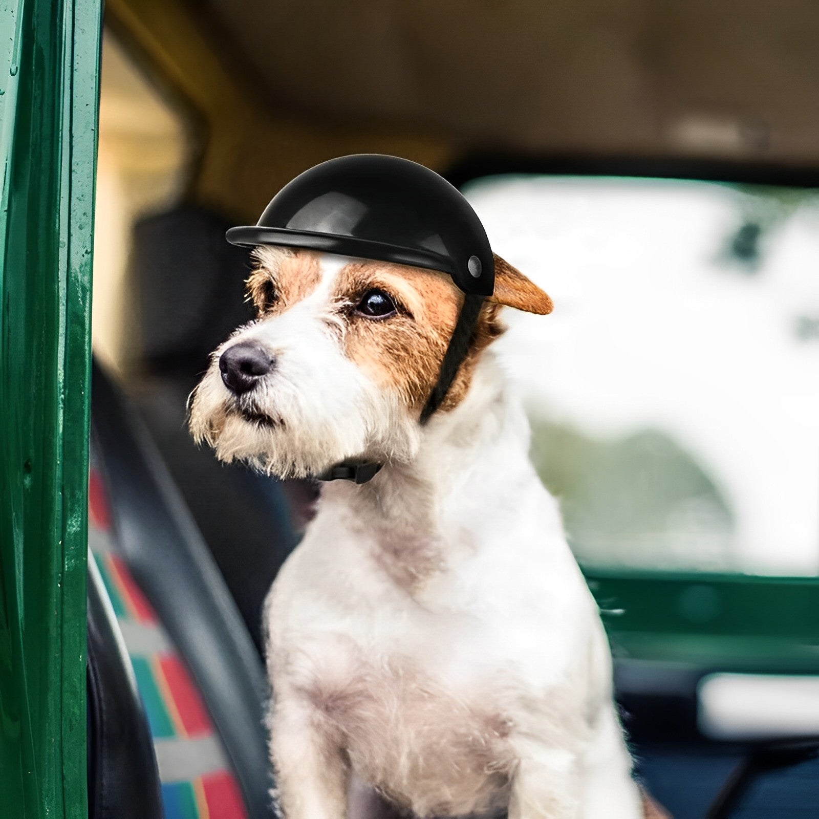 Dog Helmet & Goggles | Protective Riding Gear with UV Lenses | Adjustable Strap & Breathable Fit