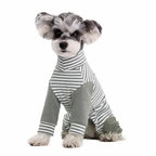 Dog Recovery Suit | Anti-Licking Full-Body | Breathable Long Sleeves | Post-Surgery Protection